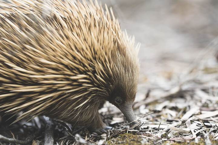 Hotel Exterior 21 of 30