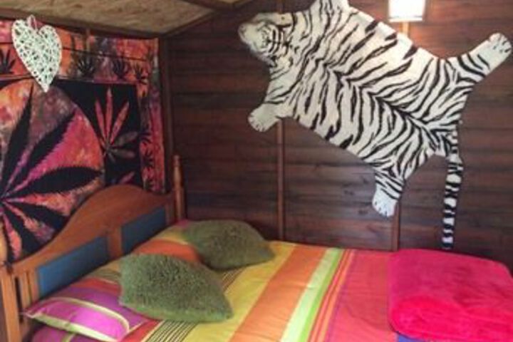 Room 12 of 41