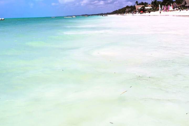 Beach 43 of 48