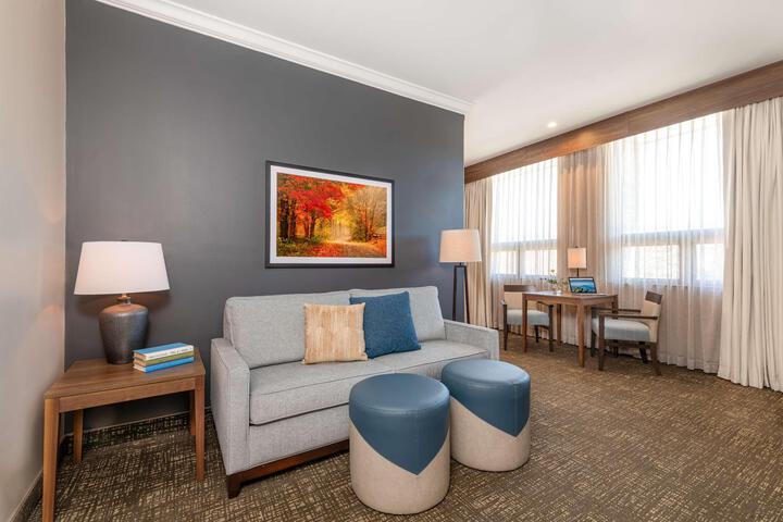 Accessible King Suite with Living Room (13 of 25)