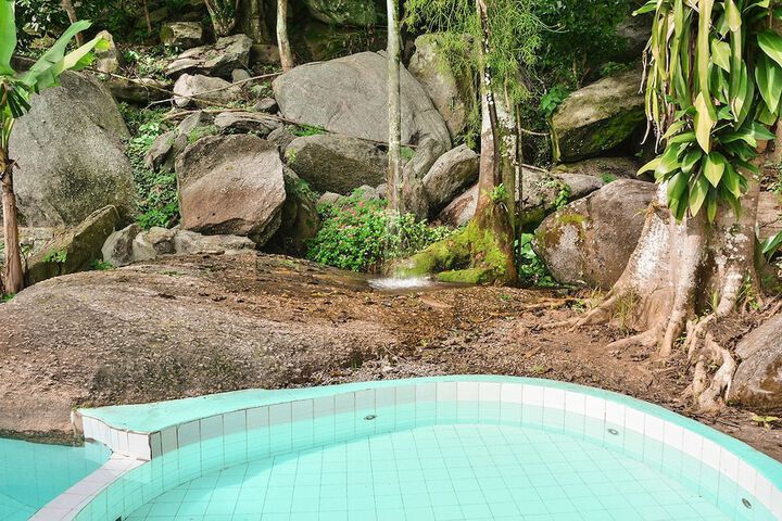 Wellness Treatments