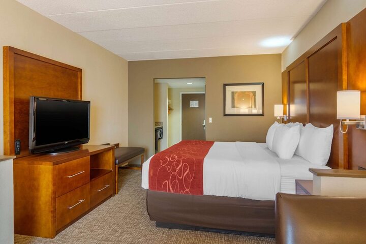 1 King Bed 2 Person Sofa Bed (14 of 30)