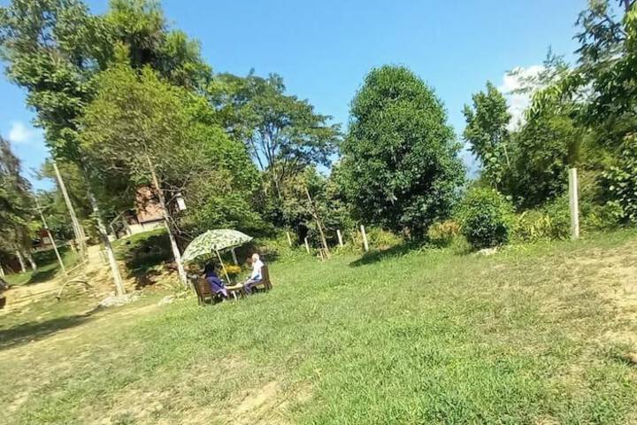 Property Grounds 15 of 21