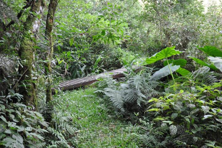 Property Grounds 17 of 35