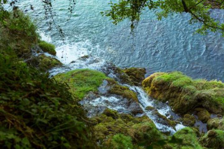 General 50 of 144