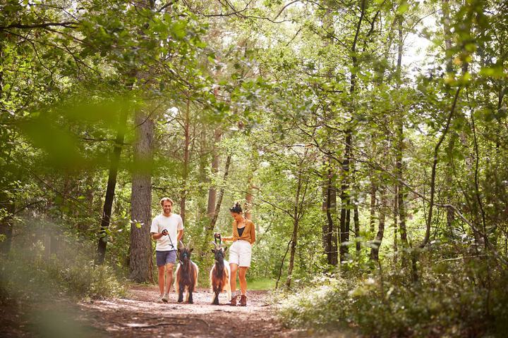 Outdoor Activities 18 of 33