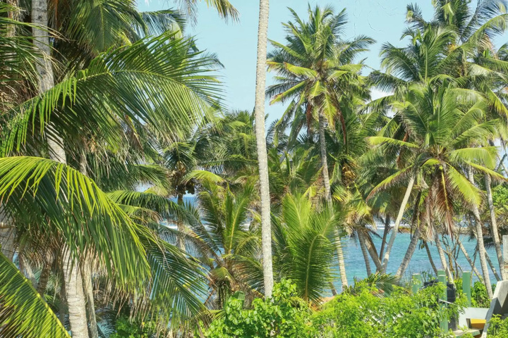 Beach 15 of 17