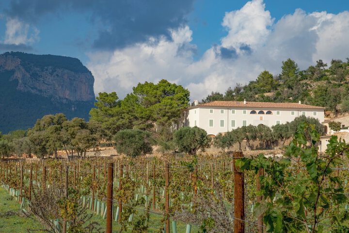 Finca Banyols Vignette Collection by IHG