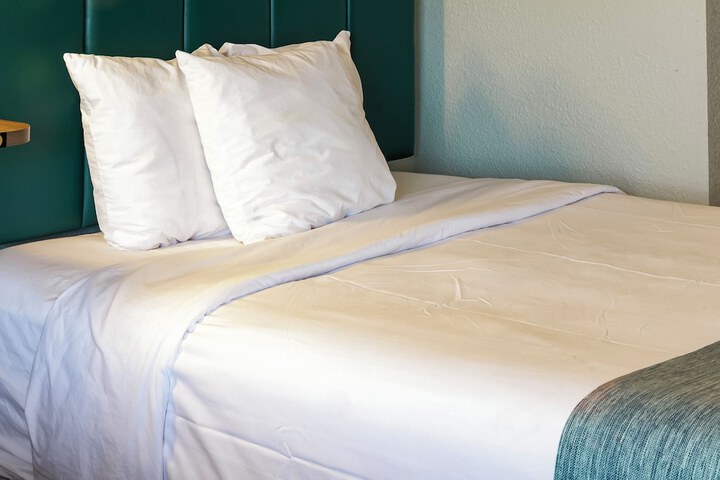 1 Queen Bed Accessible Mobility and Hearing Roll in Shower (2 of 8)