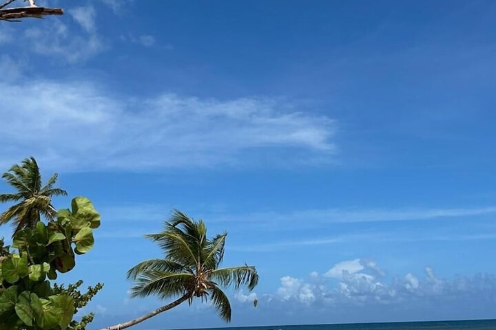Beach 46 of 57