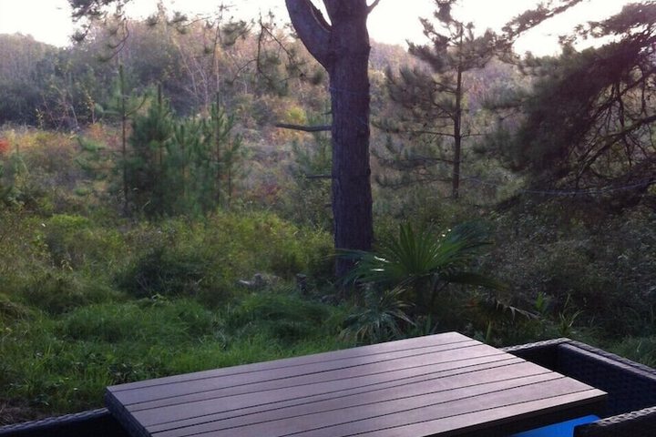 Property Grounds 58 of 59