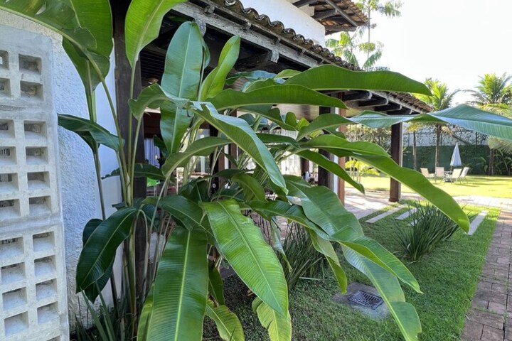 Hotel Exterior 147 of 156