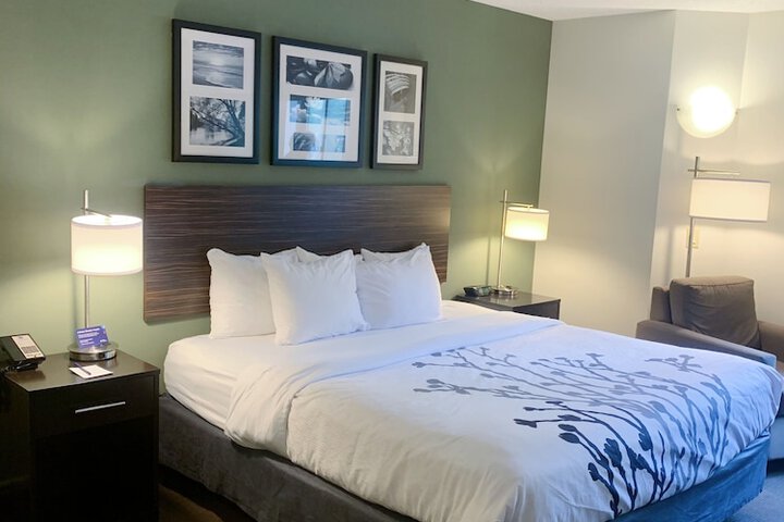 1 King Bed (7 of 11)
