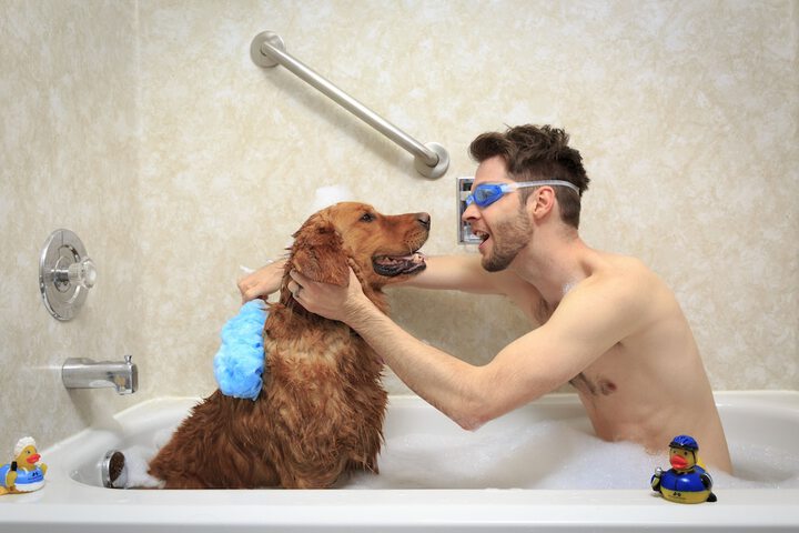 Pet Friendly 44 of 57