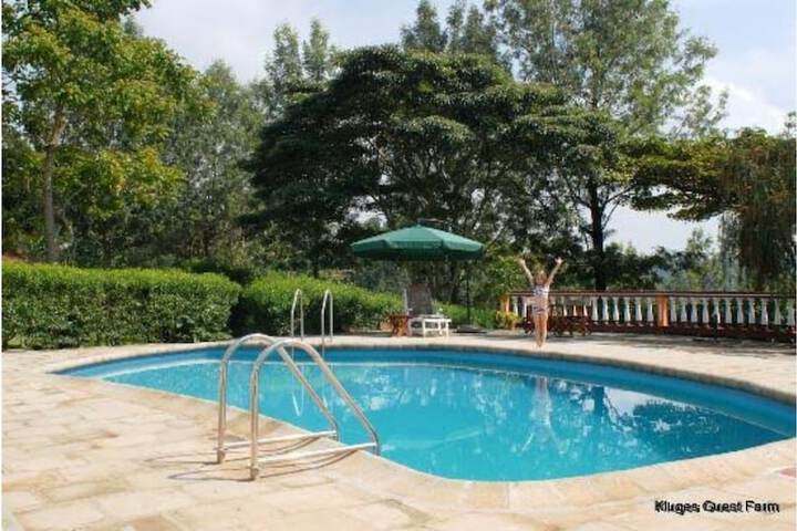 Hotel Pool