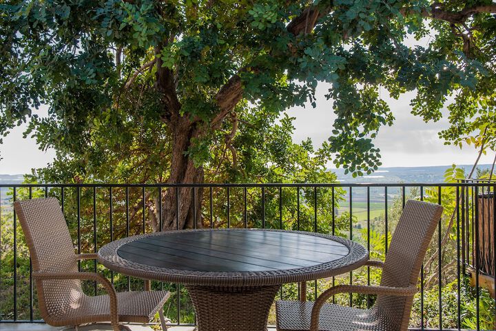 Terrace/Patio 15 of 117