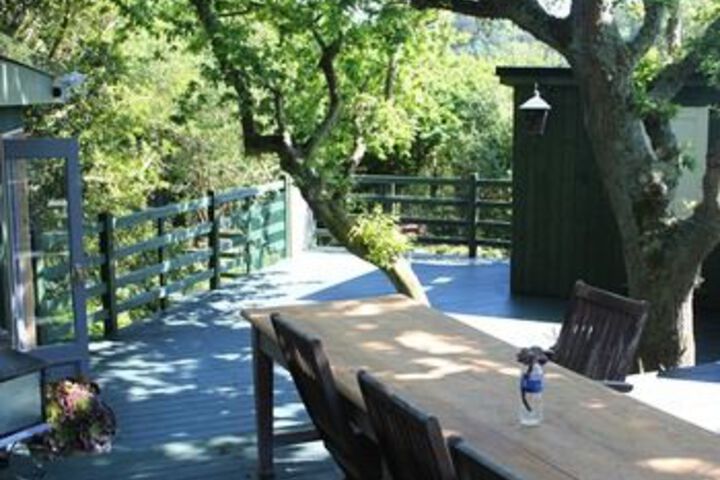 Holly Oak Sanctuary