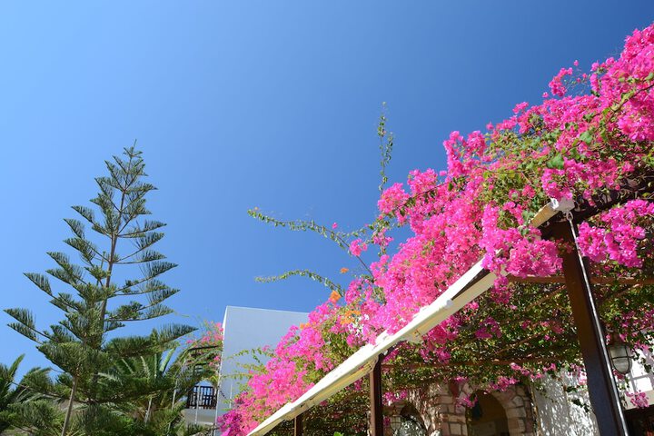 Hotel Exterior 33 of 37