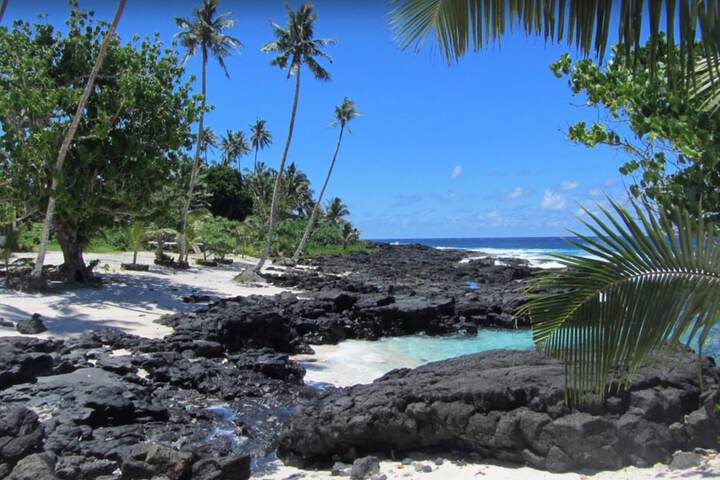 Beach 140 of 179