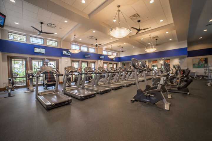 Health and Fitness 6 of 42