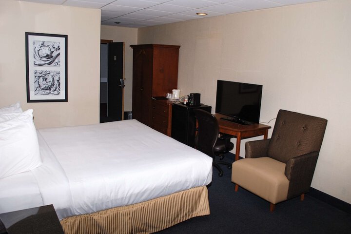 Suite Room