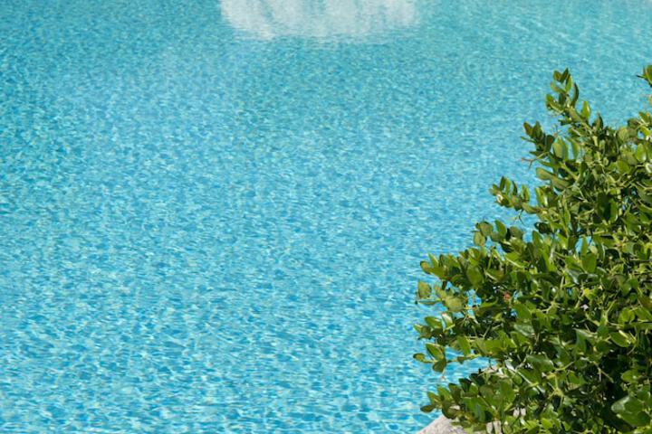 Pool 38 of 75