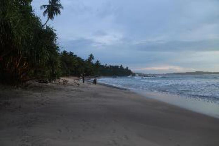 Beach 4 of 13
