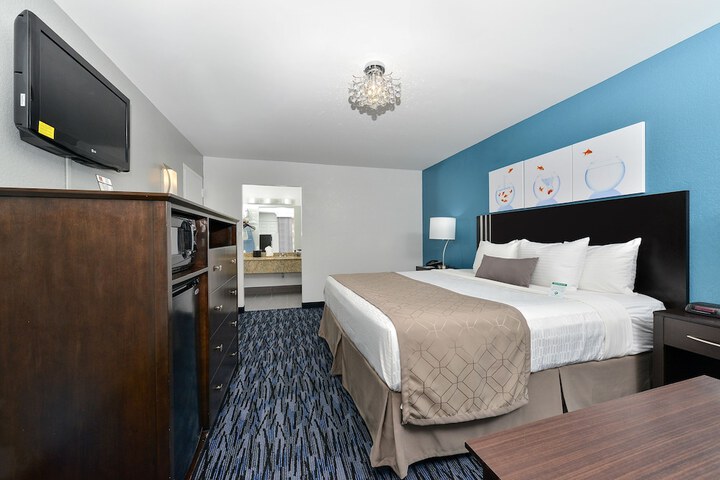 1 King Bed Accessible (12 of 24)