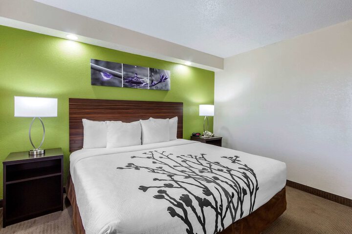 Standard | King Bed (11 of 16)