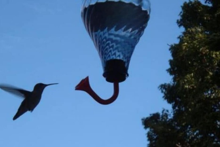 Hotel Interior 24 of 37