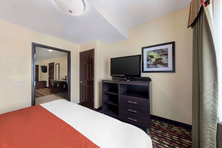 1 King Bed Pet Friendly Room High Speed Internet Accessible Microwave and Refrigerator Full (4 of 15)