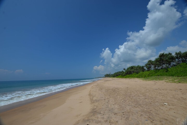 Beach 55 of 88