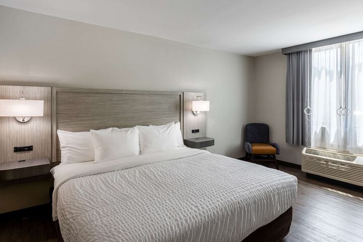 Queen Bed Accessible (22 of 22)