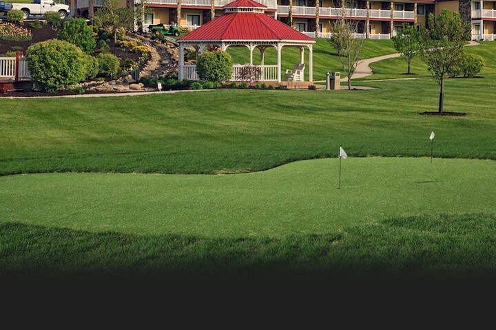 Mini-golf