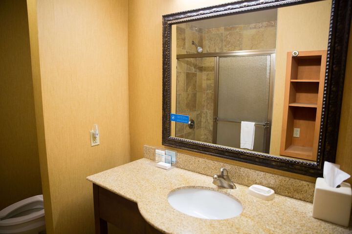 1 King Walk in Shower Only Hearing Accessible (9 of 18)