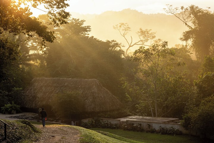 Image of Jade Jungle Resort