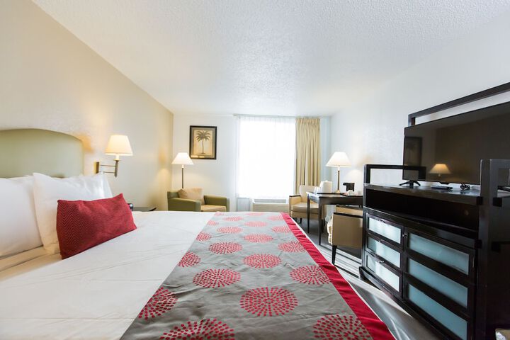 1 King Bed (13 of 19)