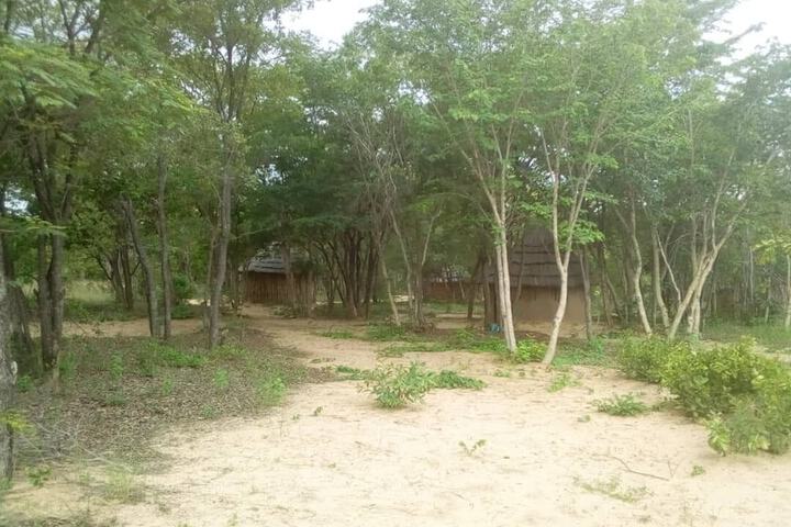 Room 5 of 12
