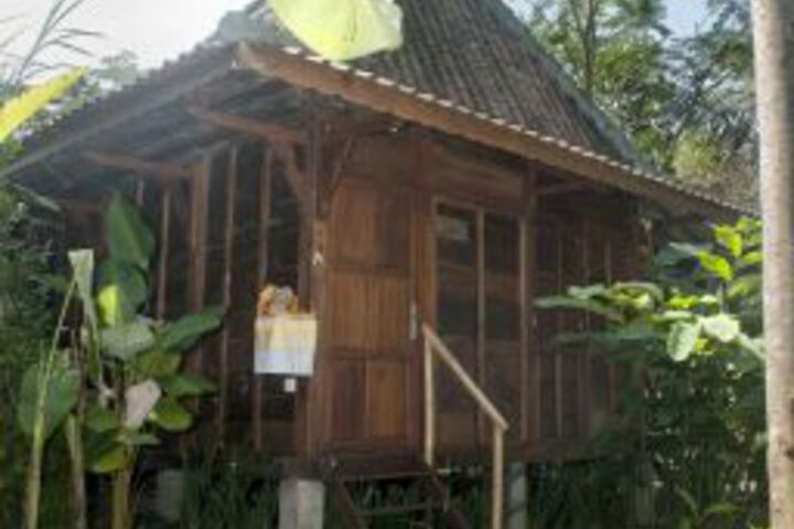 Photo 29