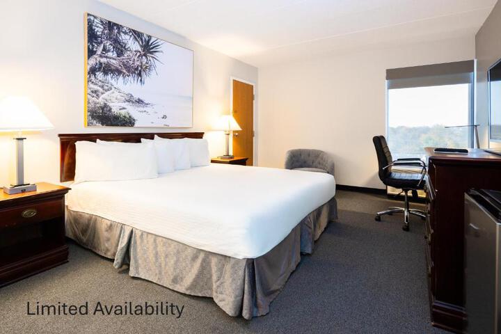 1 King Bed (6 of 8)