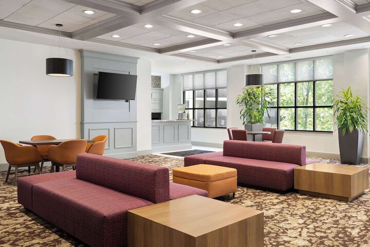 Entrance & Lobby