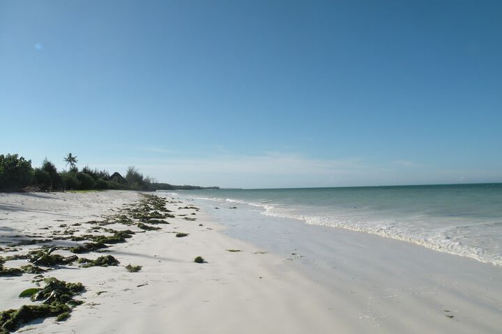 Beach 130 of 161