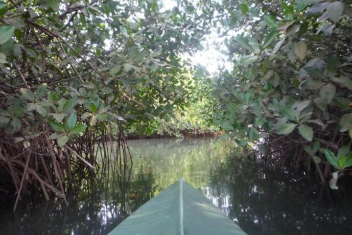 General 11 of 25