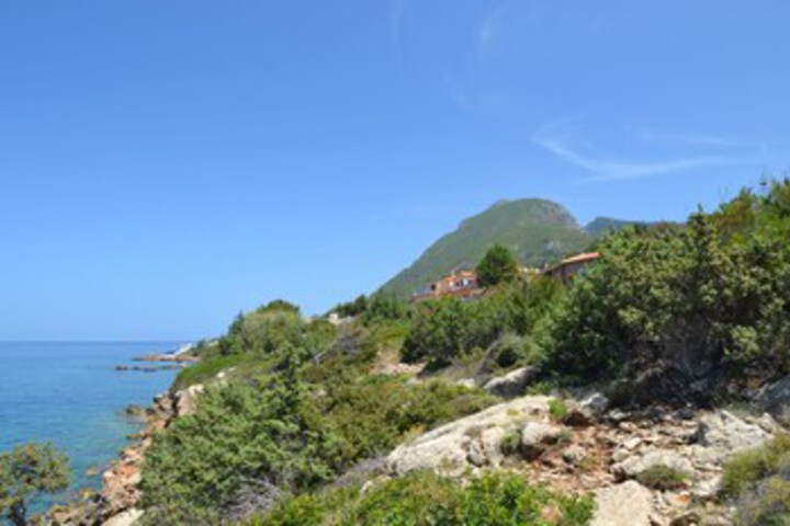 Beach 18 of 120