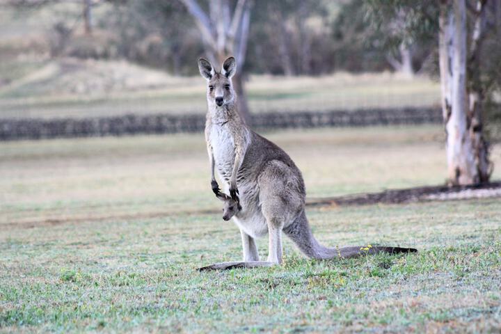 Hotel Exterior 94 of 112