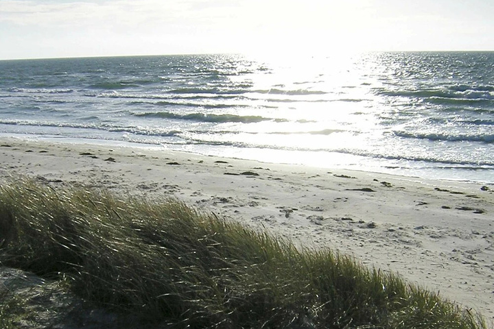 Beach 9 of 14