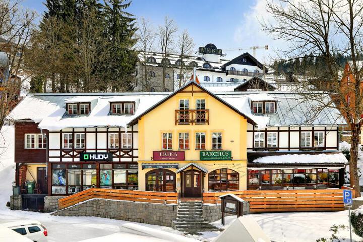 Hotel Erika