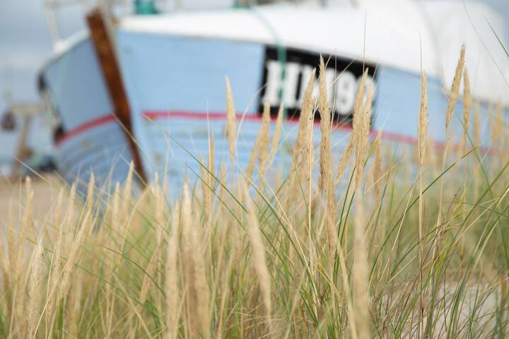 Beach 46 of 110