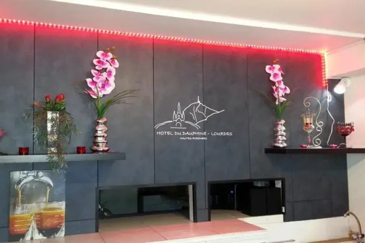 Adonis Lourdes Hotel Du Dauphine