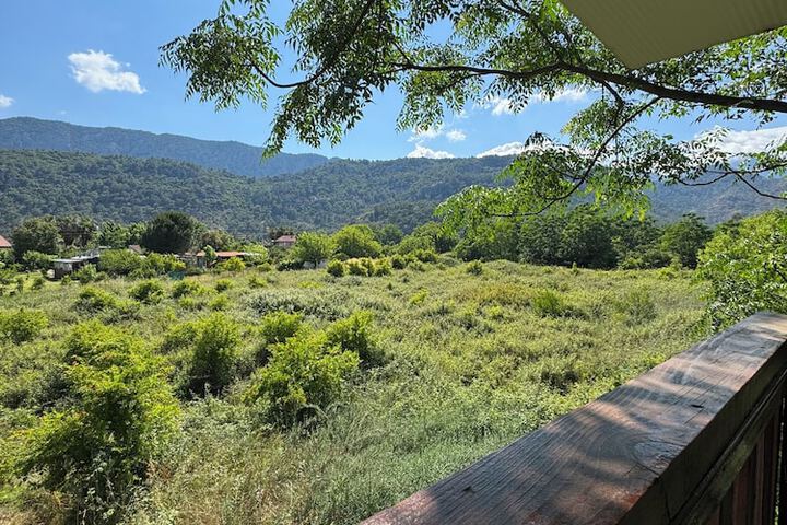 Balcony view